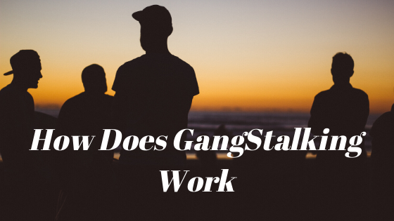 How Does GangStalking Work?